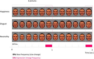 A neural marker of rapid discrimination of facial expression in 3.5- and 7-month-old infants